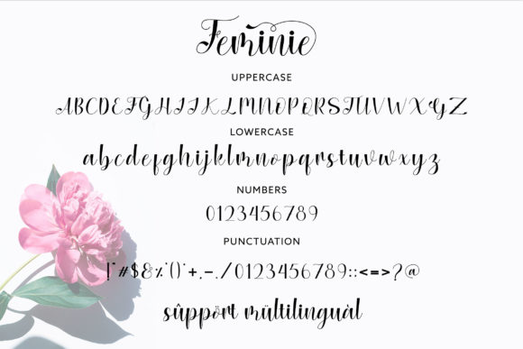 Feminie Font PNG with transparent background - Preview 6