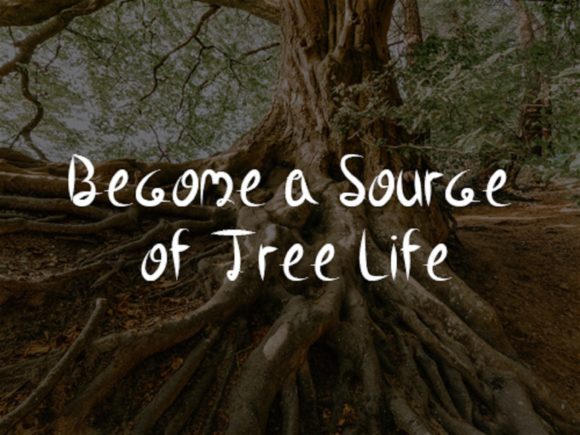 Life Roots Font PNG with transparent background - Preview 2
