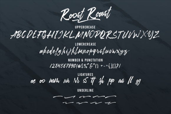 Roost-Roast Font PNG with transparent background - Preview 1