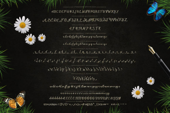 Amandella Font - Preview 3