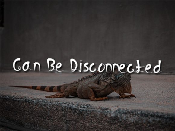 Lizard Tail Font PNG with transparent background - Preview 2