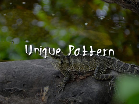 Lizard Tail Font PNG with transparent background - Preview 3