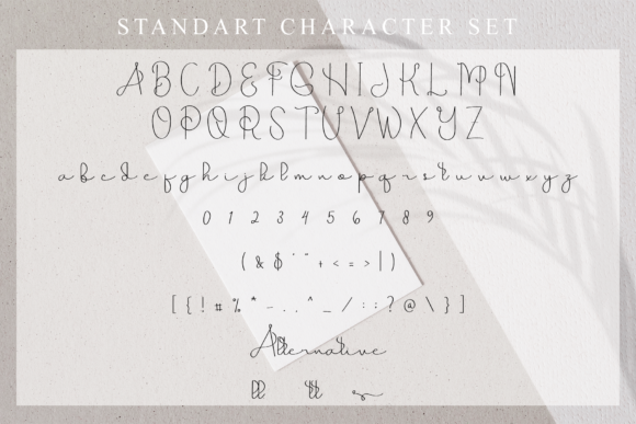 Hallo Beautiful Font - Preview 4