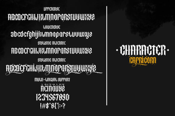 Capricorn Font - Preview 4