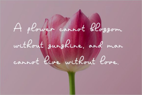 Flowerhy Font - Preview 3