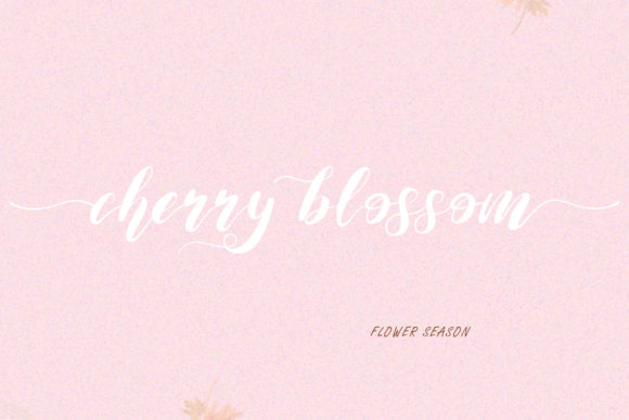 Maida Valley Font PNG with transparent background - Preview 5