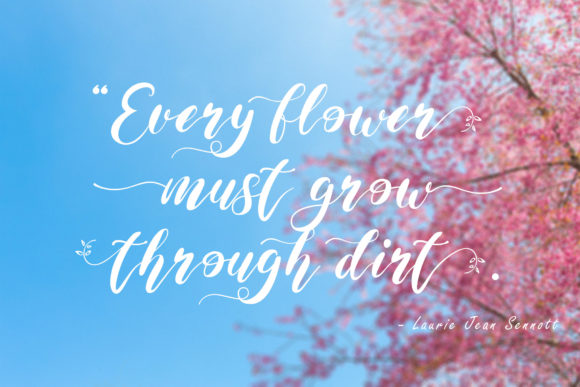 Maida Valley Font PNG with transparent background - Preview 6