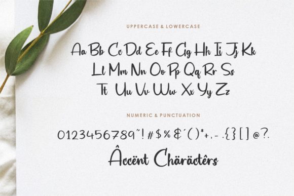Biograf Font - Preview 5