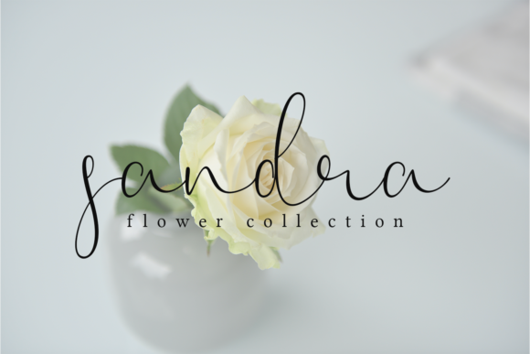 Dandellions Font - Preview 3