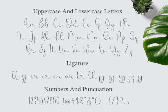 Dandellions Font - Preview 4