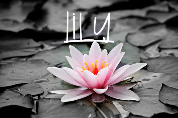 Easter Flowers Font - Preview 2
