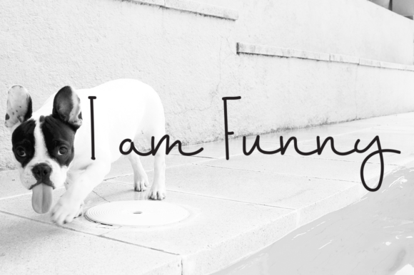 Happy Doggies Font - Preview 1