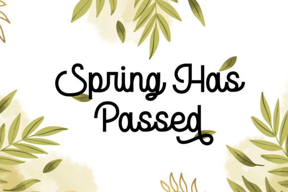 Marylane Font PNG with transparent background - Preview 1