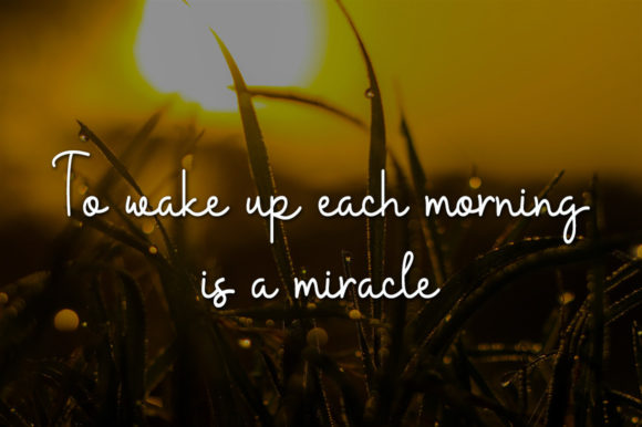 Morning Smile Font PNG with transparent background - Preview 3