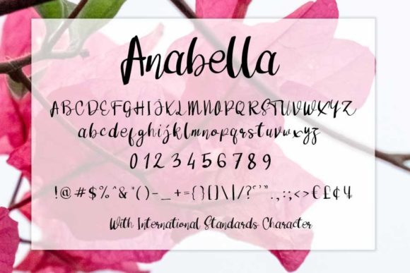Anabella Font - Preview 3