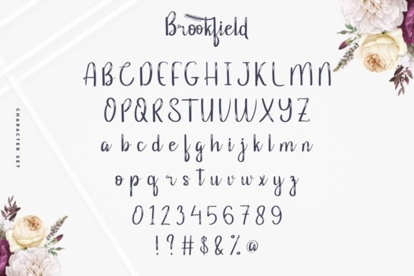 Brookfield Font - Preview 3