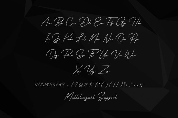 Business Signature Font - Preview 4