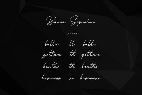 Business Signature Font - Preview 5