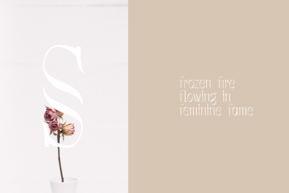 Louna Font PNG with transparent background - Preview 3