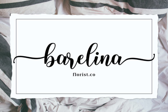 Astri Script Font - Preview 4