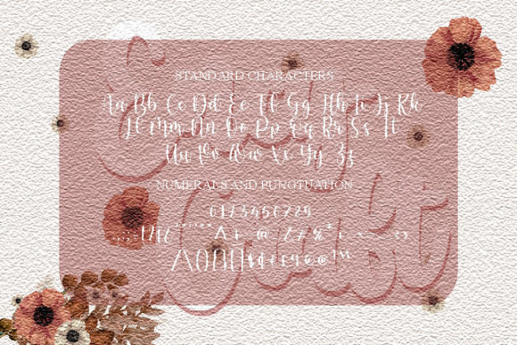Ency Craft Font - Preview 1
