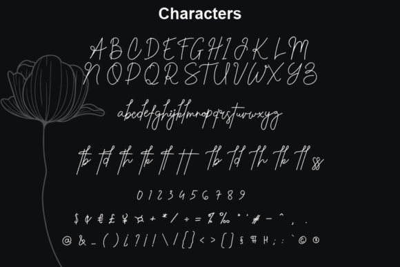 Reautiful Storie Font PNG with transparent background - Preview 1