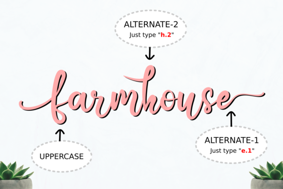 Aisha Script Font - Preview 3