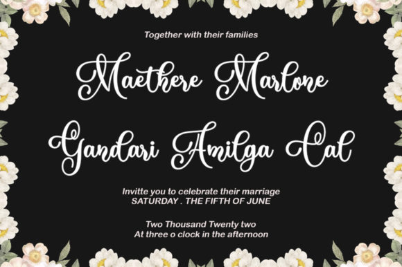 Angelin Gilard Font - Preview 1