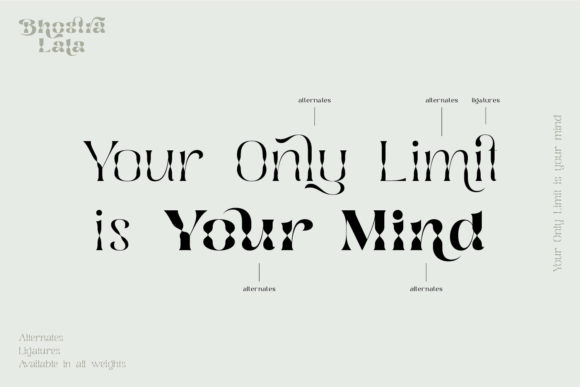 Bhostra Lala Font - Preview 5