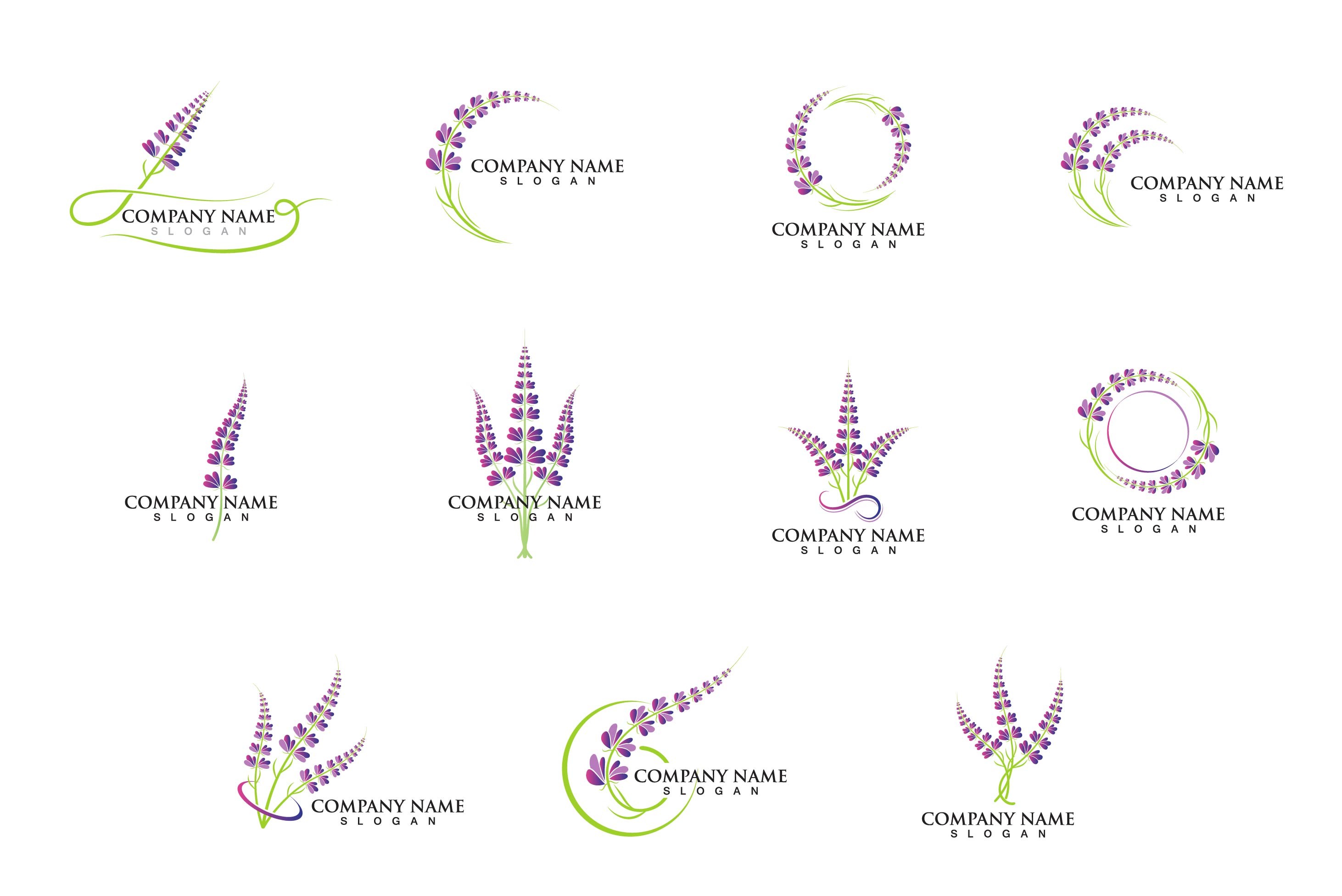 lavender star flower plant Assorted Lavender Star Flower (Grewia) Cuttings in Four Inch Pots