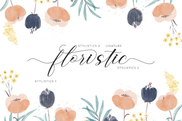 Amira Font - Preview 5