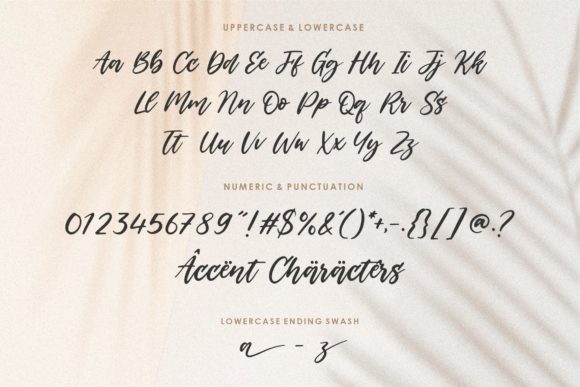 Backhome Font - Preview 5