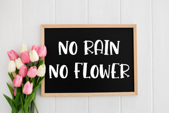 Daisy Happy Farm Font - Preview 5
