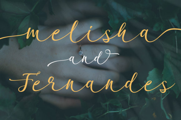Garnita Script Font - Preview 3