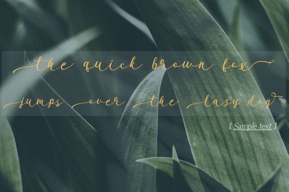 Garnita Script Font - Preview 4