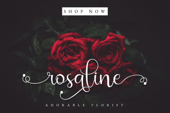 Rossalia Shine Font PNG with transparent background - Preview 3
