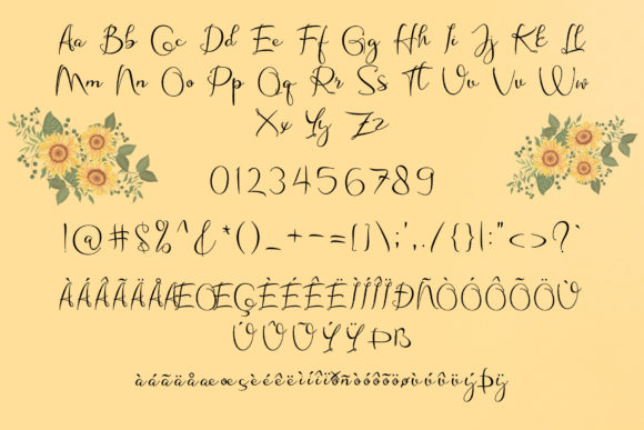 Shine Himawari Font font preview - 5