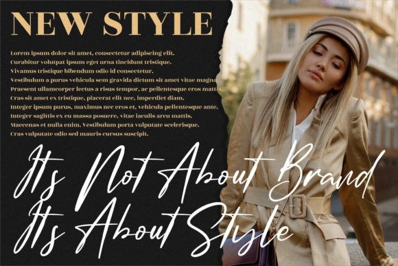 Amsterdam Signature Font - Preview 4