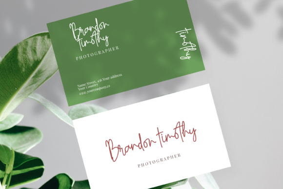Anasthasya Signature Font - Preview 2