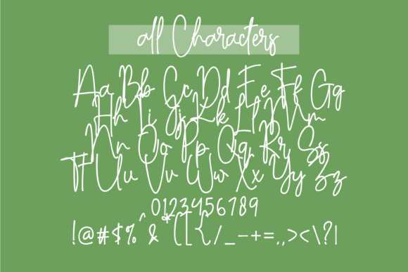 Anasthasya Signature Font - Preview 3