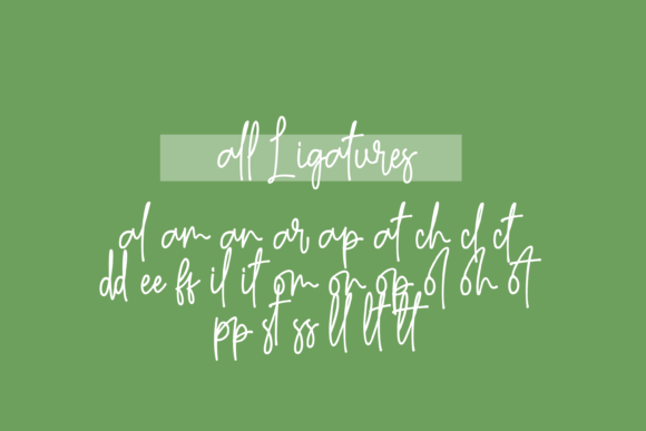 Anasthasya Signature Font - Preview 4