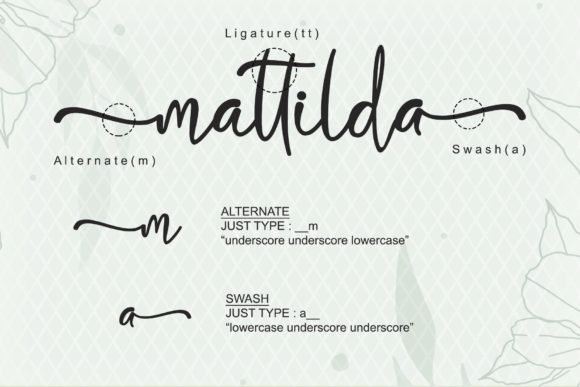 Biolina Larasita Font - Preview 6