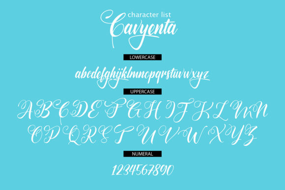 Cavyenta Font - Preview 4