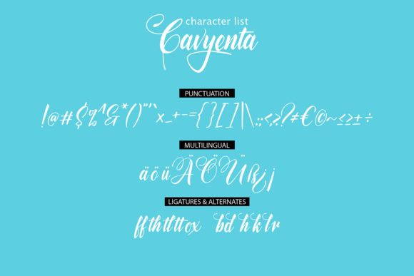 Cavyenta Font - Preview 5