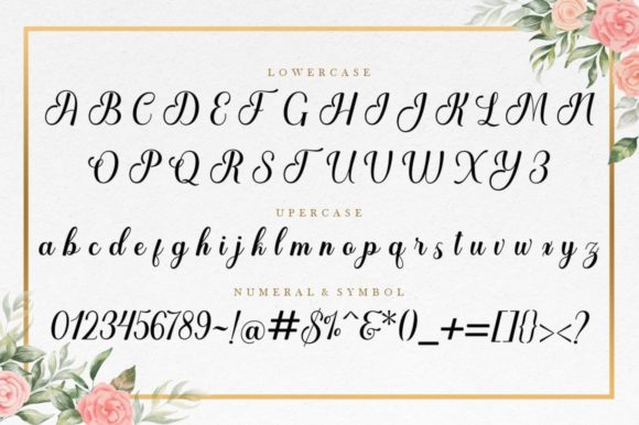 Delania Font - Preview 2