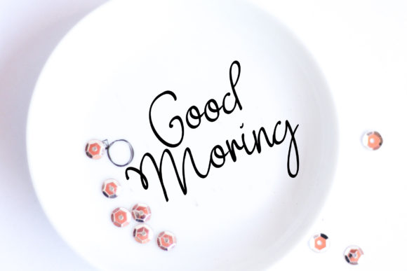 Salsabila Font font preview - 1