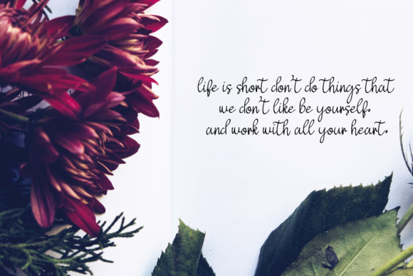 Salsabila Font font preview - 3