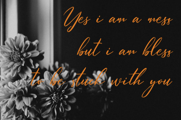 Blisslovys Font - Preview 4
