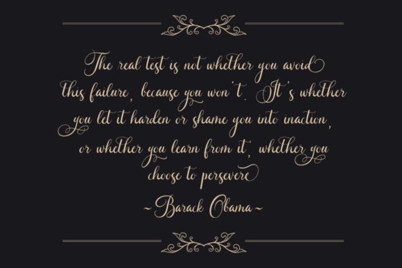 Caliner Script Font - Preview 3