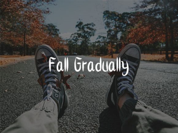 Fallen Leaves Font - Preview 1
